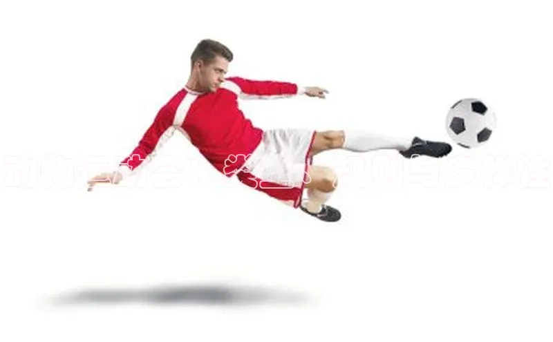 门徒平台注册登录